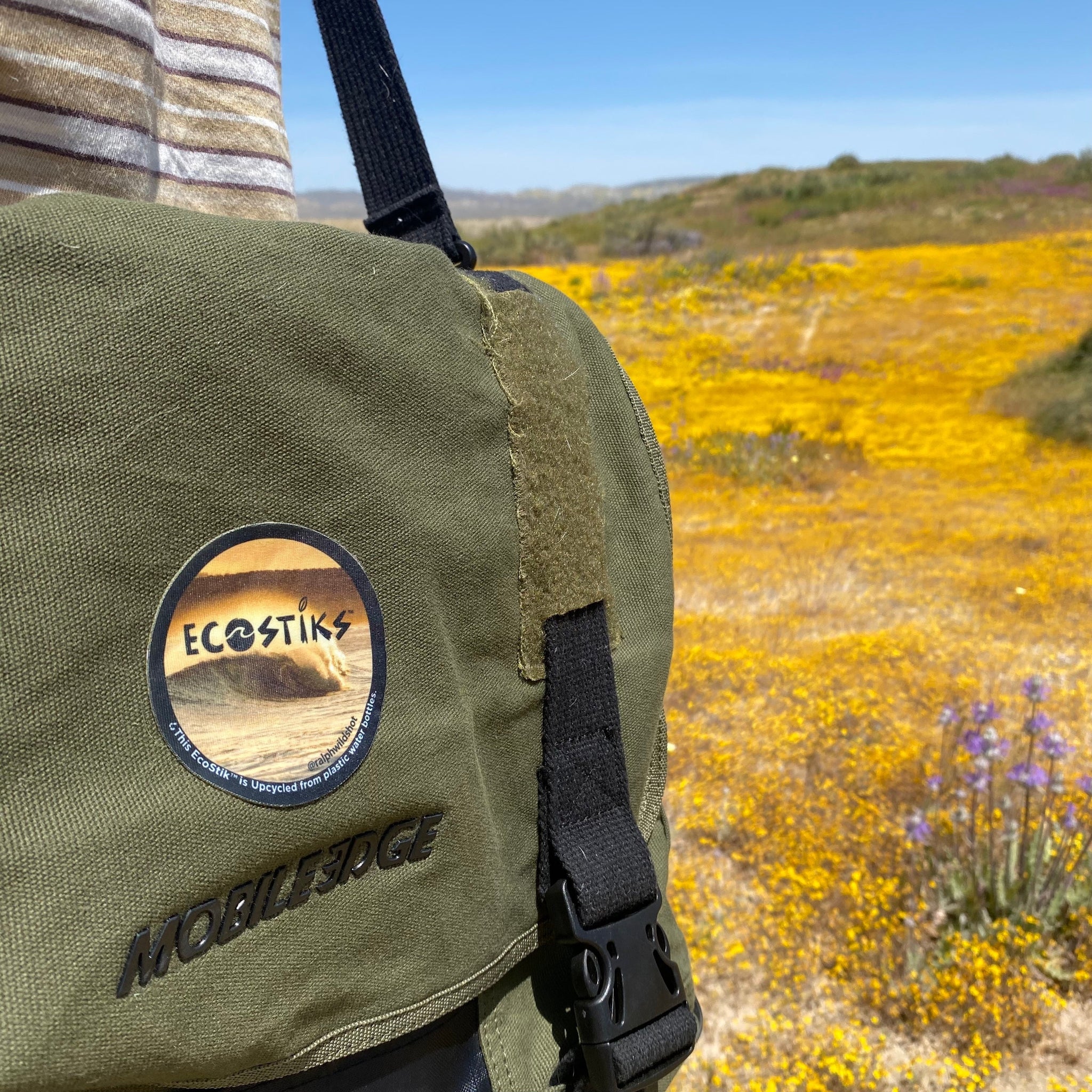 Going Green: How Sustainability Boosts Small Business Resilience