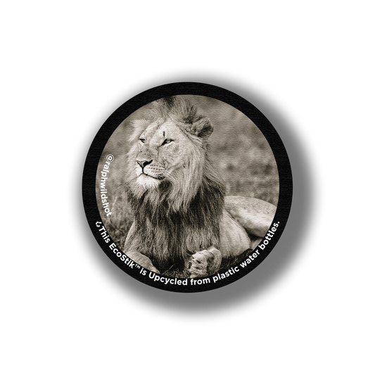 3" x 3" Lion EcoStiks EcoStiks® Sticker Patches- Retail